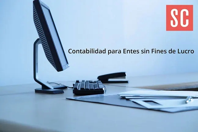 Libro en PDF: Contabilidad y otros temas para entes sin fines de lucro